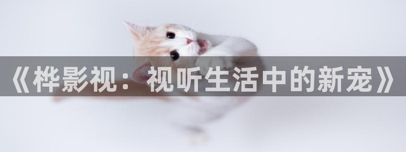 嫩草影院入口播放