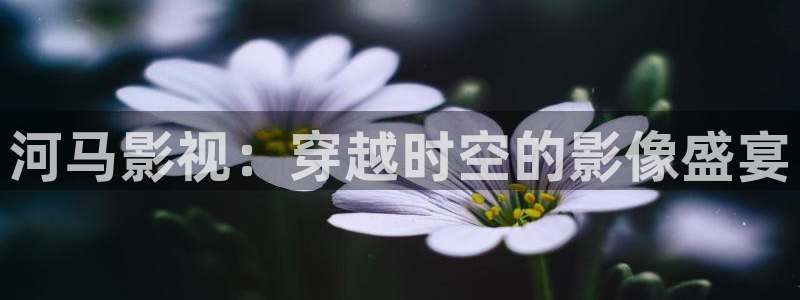 911久久嫩草影院