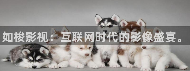 亚洲国产精品嫩草影院久久av