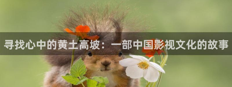 嫩草草草影院 懂你的影院